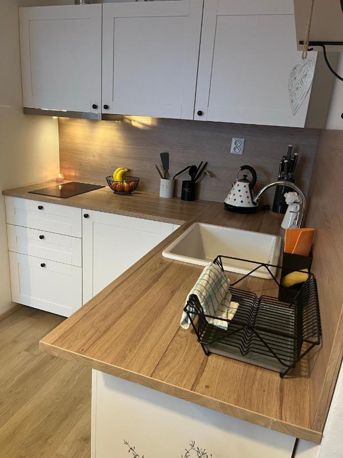 Utulny Apartman Na Dolni Morave Dolní Morava エクステリア 写真