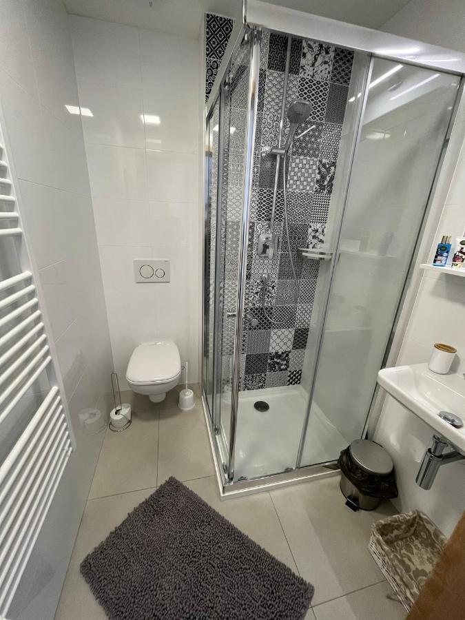Utulny Apartman Na Dolni Morave Dolní Morava エクステリア 写真