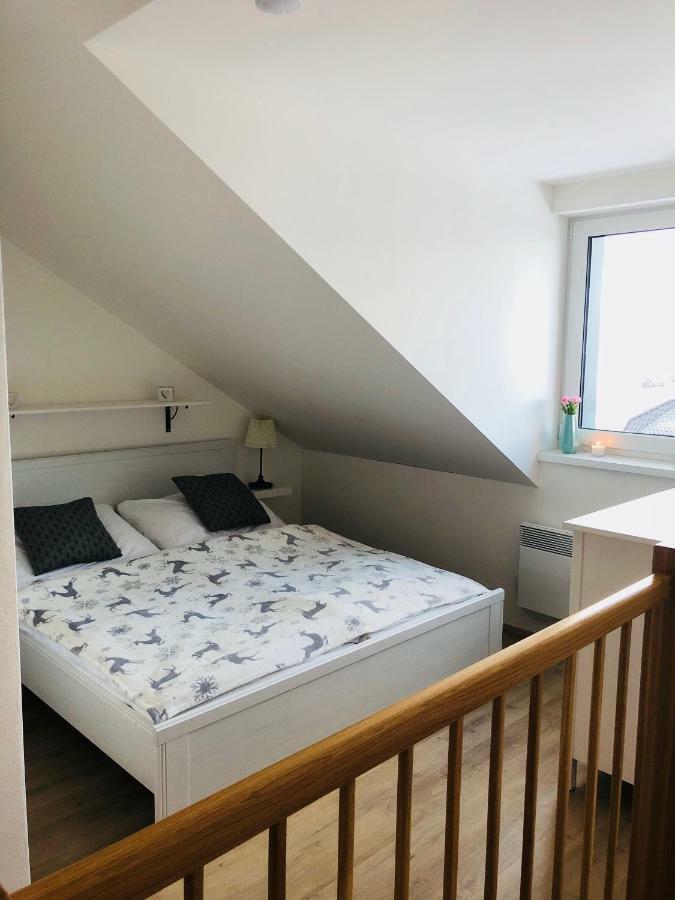 Utulny Apartman Na Dolni Morave Dolní Morava エクステリア 写真