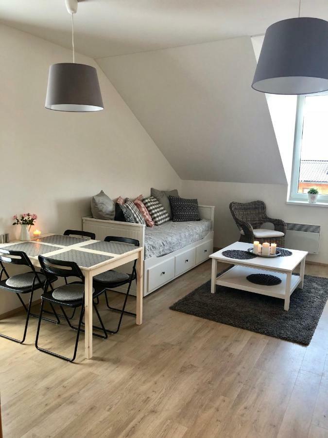Utulny Apartman Na Dolni Morave Dolní Morava エクステリア 写真