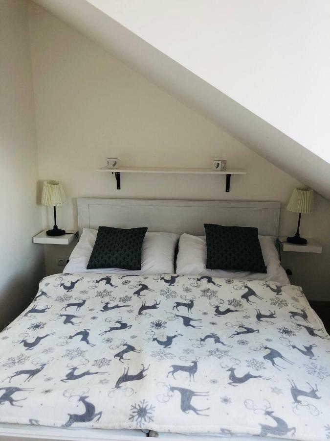 Utulny Apartman Na Dolni Morave Dolní Morava エクステリア 写真