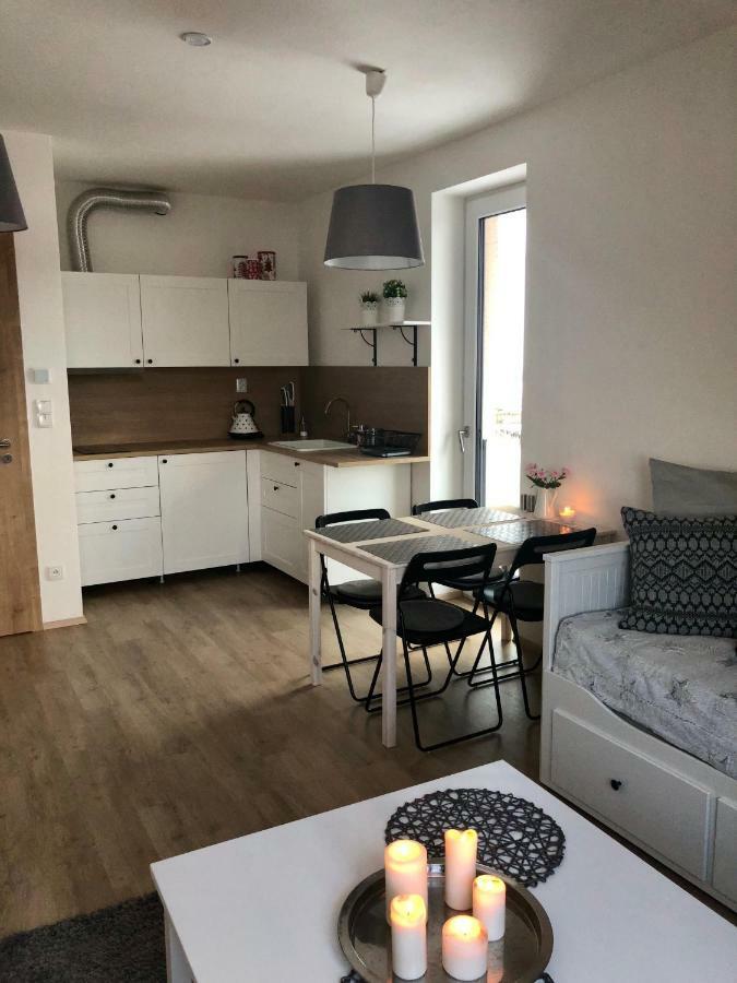 Utulny Apartman Na Dolni Morave Dolní Morava エクステリア 写真